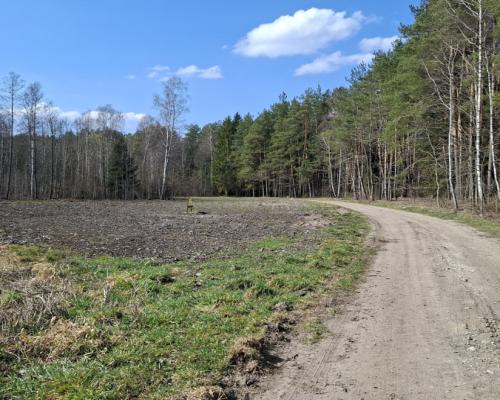 Działka budowlana pod lasem. 1085 m2