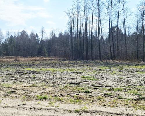 Działka budowlana pod lasem. 1085 m2