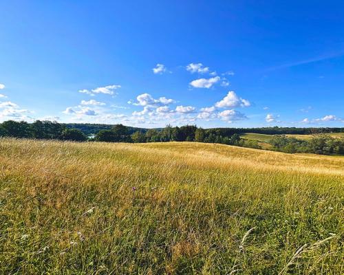 Działka budowlana z prywatną plażą na Mazurach!