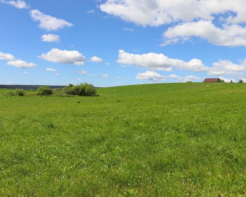 Działka rolno budowlana gmina Rutka-Tartak