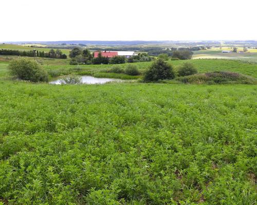 Działka rolno budowlana gmina Rutka-Tartak