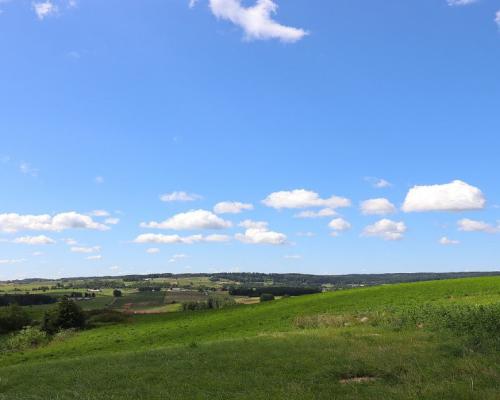 Działka rolno budowlana gmina Rutka-Tartak