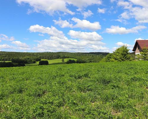 Działka rolno budowlana gmina Rutka-Tartak