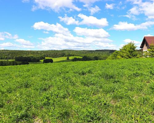 Działka rolno budowlana gmina Rutka-Tartak