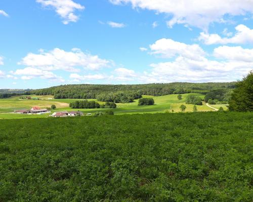 Działka rolno budowlana gmina Rutka-Tartak