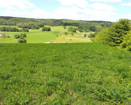 Działka rolno budowlana gmina Rutka-Tartak