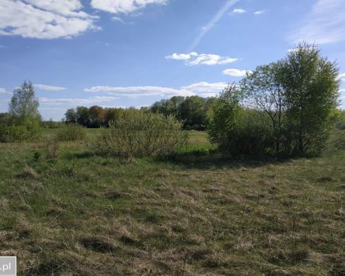 Działka inwestycyjna w pobliżu lasu.