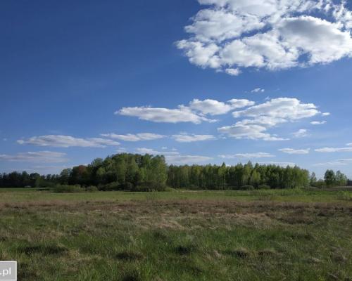 Działka inwestycyjna w pobliżu lasu.