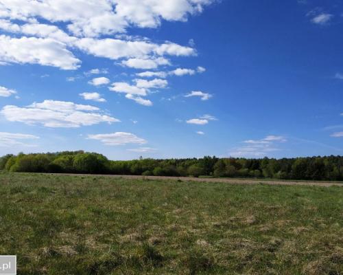 Działka inwestycyjna w pobliżu lasu.