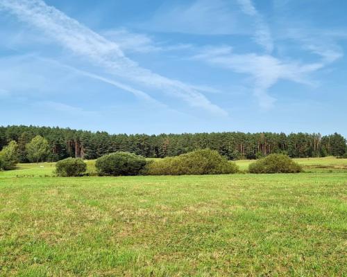 Działka rolna-budowlana 0,74 ha, Królowy Most