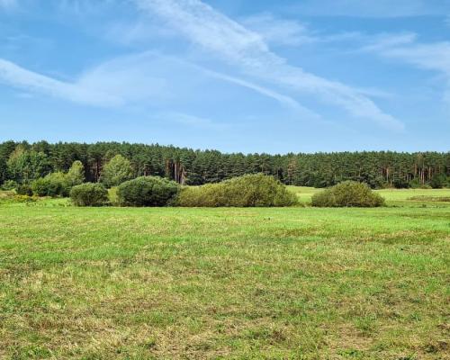 Działka rolna-budowlana 0,74 ha, Królowy Most