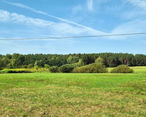 Działka rolna-budowlana 0,74 ha, Królowy Most