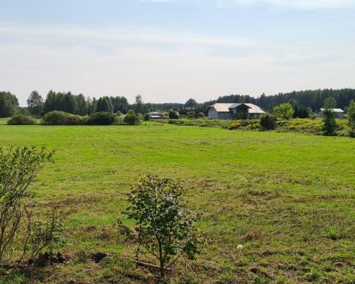 Działka rolna-budowlana 0,74 ha, Królowy Most