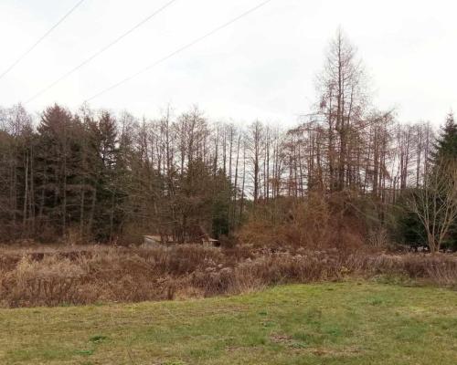 działka pod lasem blisko Białegostoku ze stawem