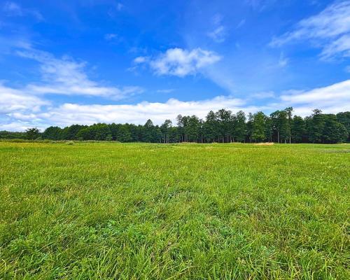 Pierwsza linia j. Harsz - działka budowlana.