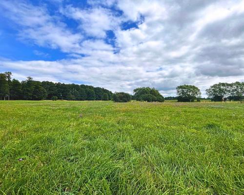 Pierwsza linia j. Harsz - działka budowlana.