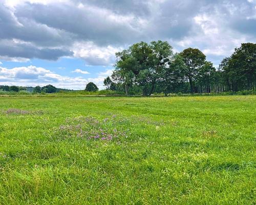 Pierwsza linia j. Harsz - działka budowlana.