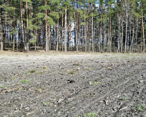 Działka budowlana 1183 m2. Solniczki.