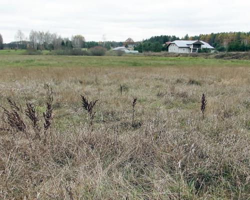 Działka rolno-budowlana 1,15 ha, Królowy Most
