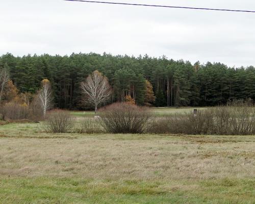 Działka rolno-budowlana 1,15 ha, Królowy Most