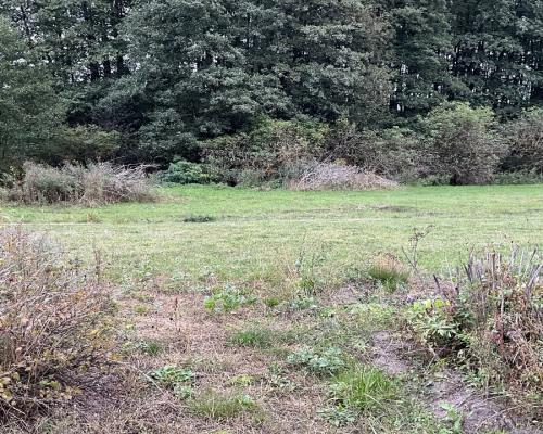 Nowodworce działka pod wymarzony dom lub inwestycj