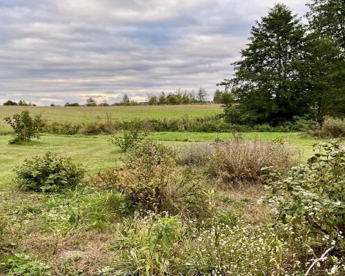 Nowodworce działka pod wymarzony dom lub inwestycj