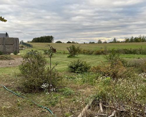 Nowodworce działka pod wymarzony dom lub inwestycj