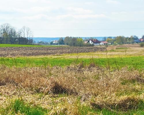 Królewskie Wzgórza, 3 km od Białegostoku.