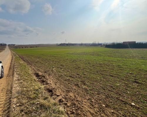 Królewskie Wzgórza, 3 km od Białegostoku.