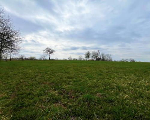 Królewskie Wzgórza, 3 km od Białegostoku.