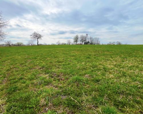 Królewskie Wzgórza, 3 km od Białegostoku.