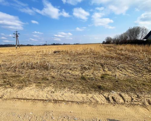 Królewskie Wzgórza, 3 km od Białegostoku.