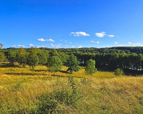 Działka budowlana pod usługi turystyczne - Mazury