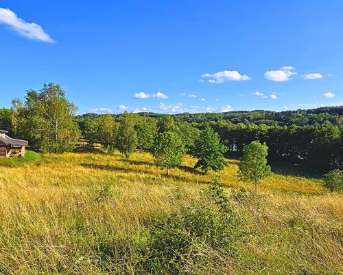 Działka budowlana pod usługi turystyczne - Mazury