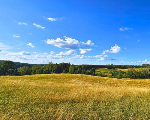 Działka budowlana pod usługi turystyczne - Mazury