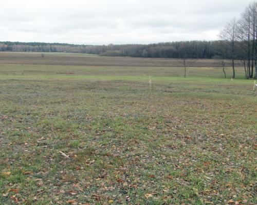 Działka budowlana 1000 m2