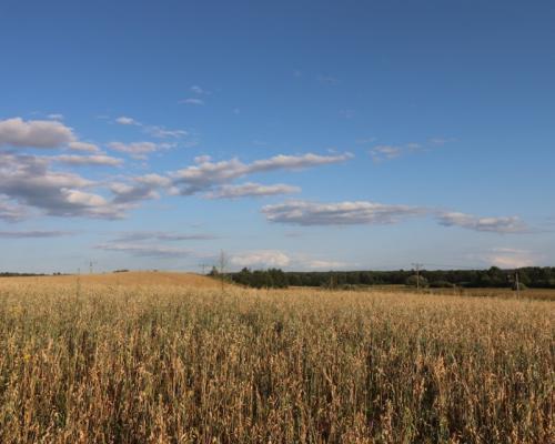 Działka budowlana blisko jeziora