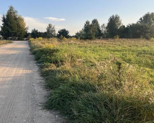 Działka rolna ok. 2 ha w gminie Czyże.