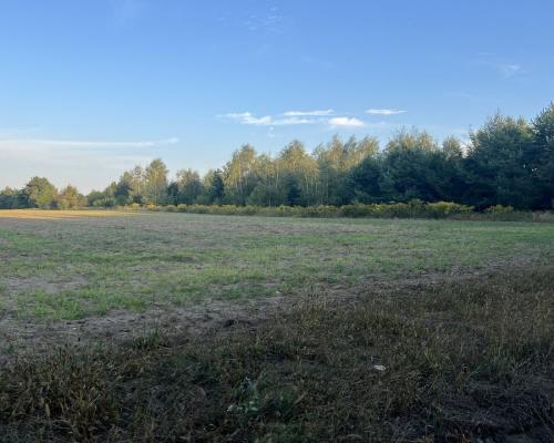 Działka rolna ok. 2 ha w gminie Czyże.