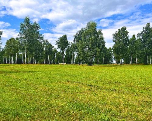 Działki budowlane nad jeziorem Luterskim.