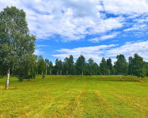Działki budowlane nad jeziorem Luterskim.