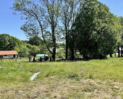 Działka budowlana w Kuryłach.