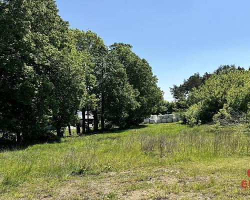 Działka budowlana w Kuryłach.