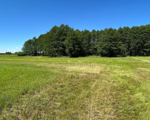 Działka rolno-budowlana 2,5 ha. Nowosiółki