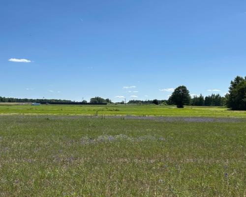 Działka rolno-budowlana 2,5 ha. Nowosiółki