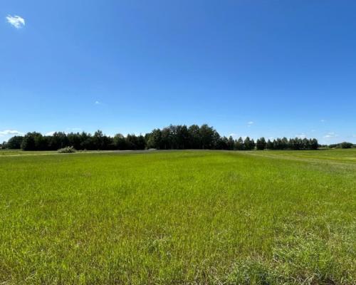 Działka rolno-budowlana 2,5 ha. Nowosiółki