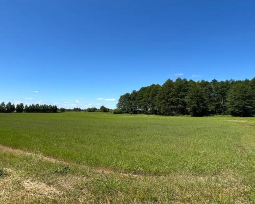 Działka rolno-budowlana 2,5 ha. Nowosiółki