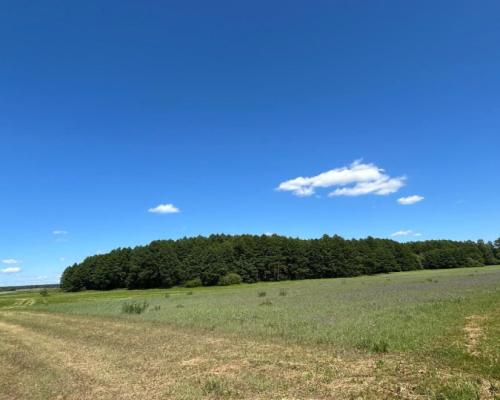 Działka rolno-budowlana 2,5 ha. Nowosiółki