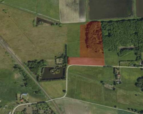 Działka rolno-budowlana 2,5 ha. Nowosiółki