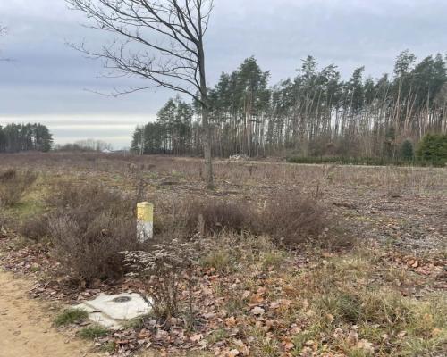 Działka pod lasem blisko Białegostoku